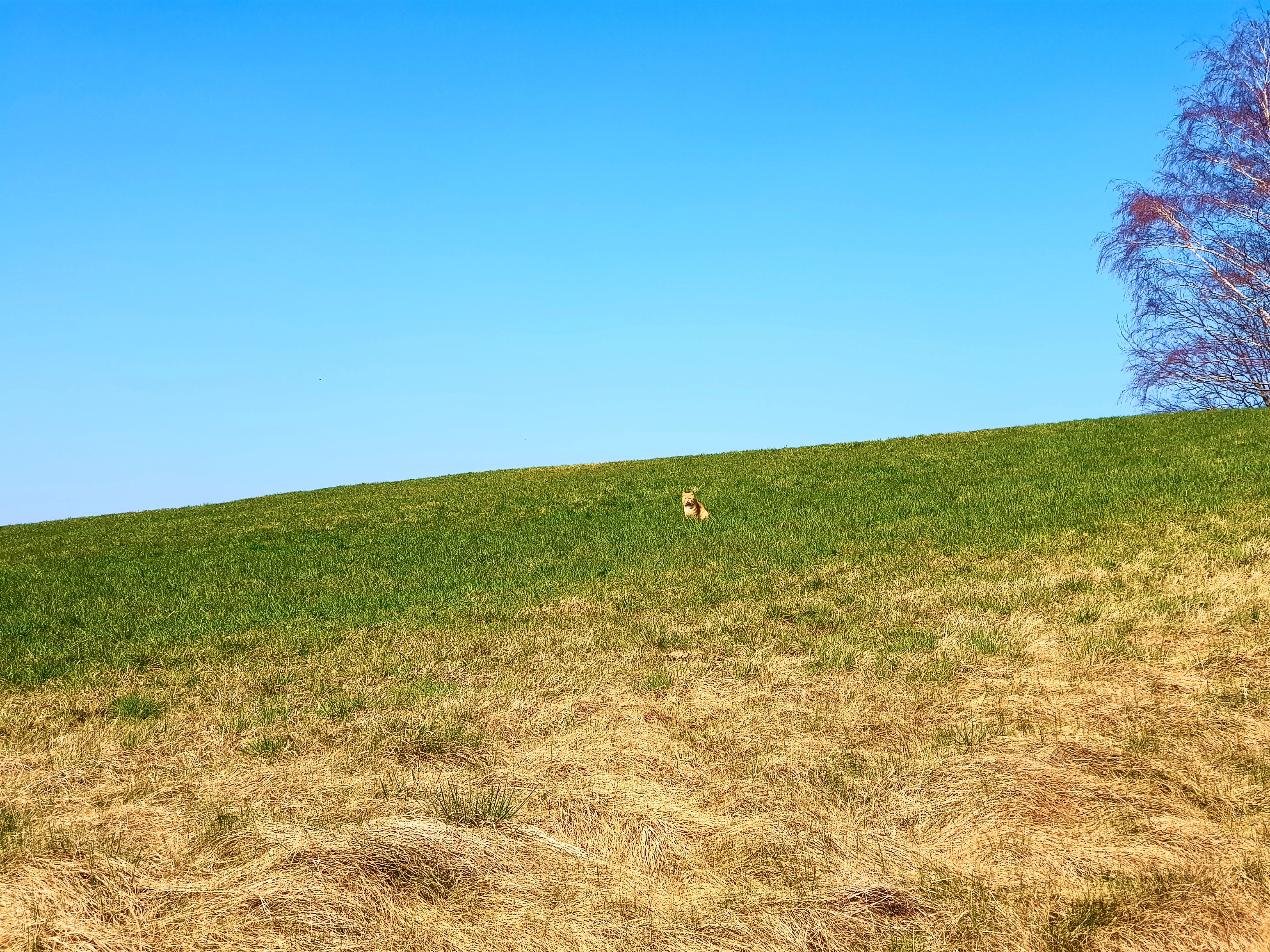 … dem Kameraden hier beobachtet.