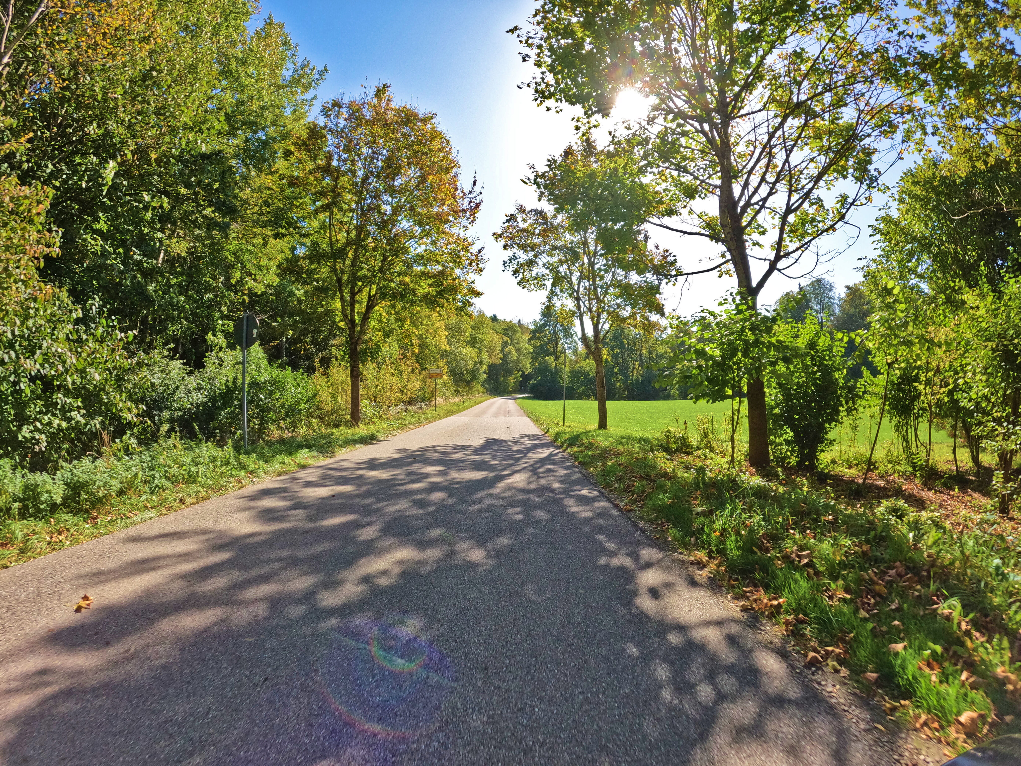 Kleine waldige Straßen