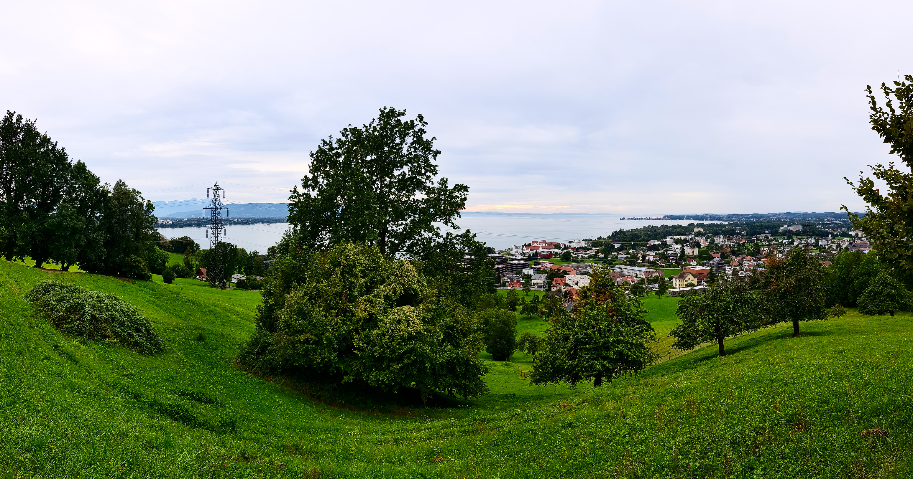 Kurz raus aus Bregenz, herrlicher Blick auf den Bodensee