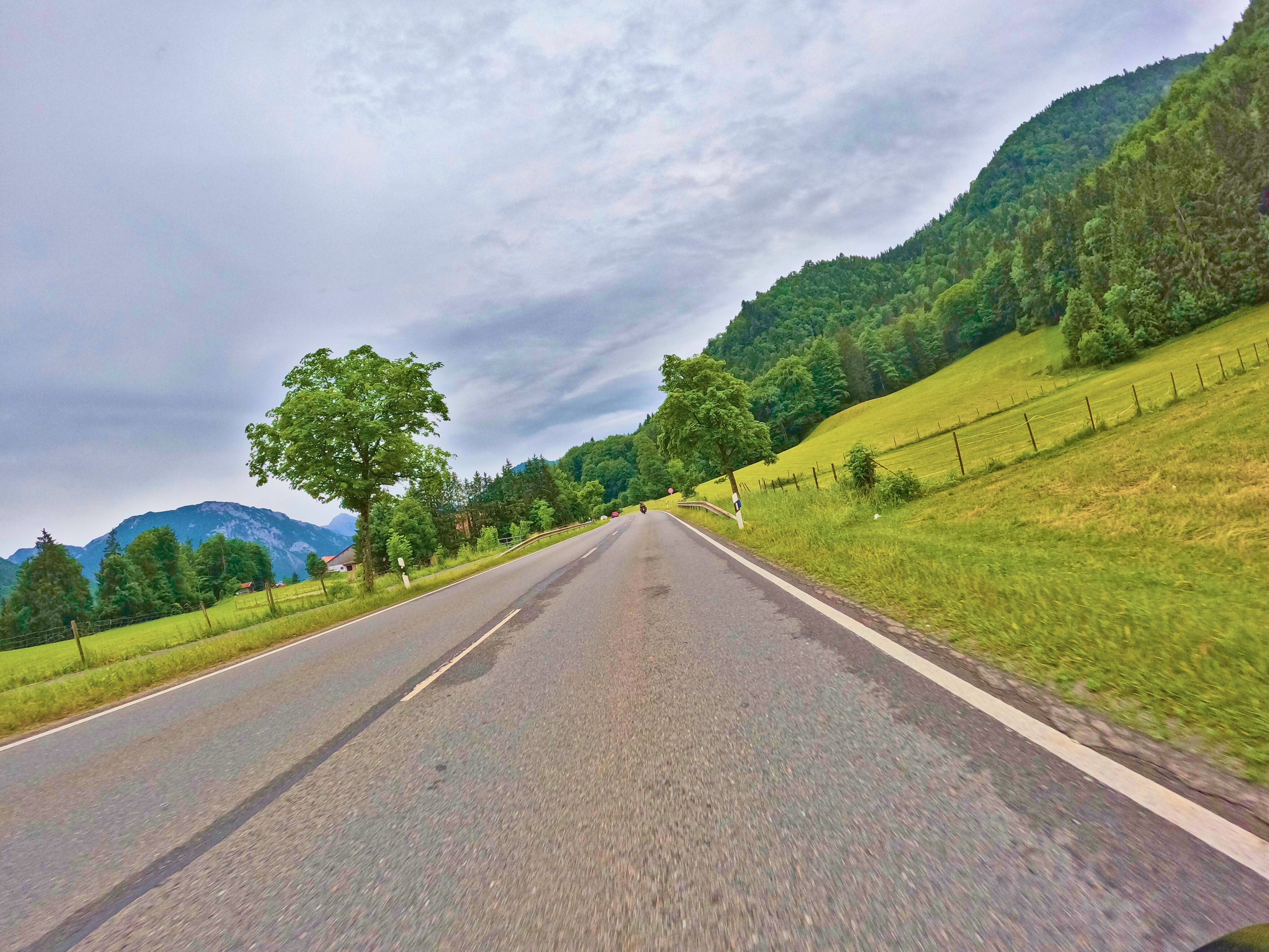 … sowie noch feuchte …