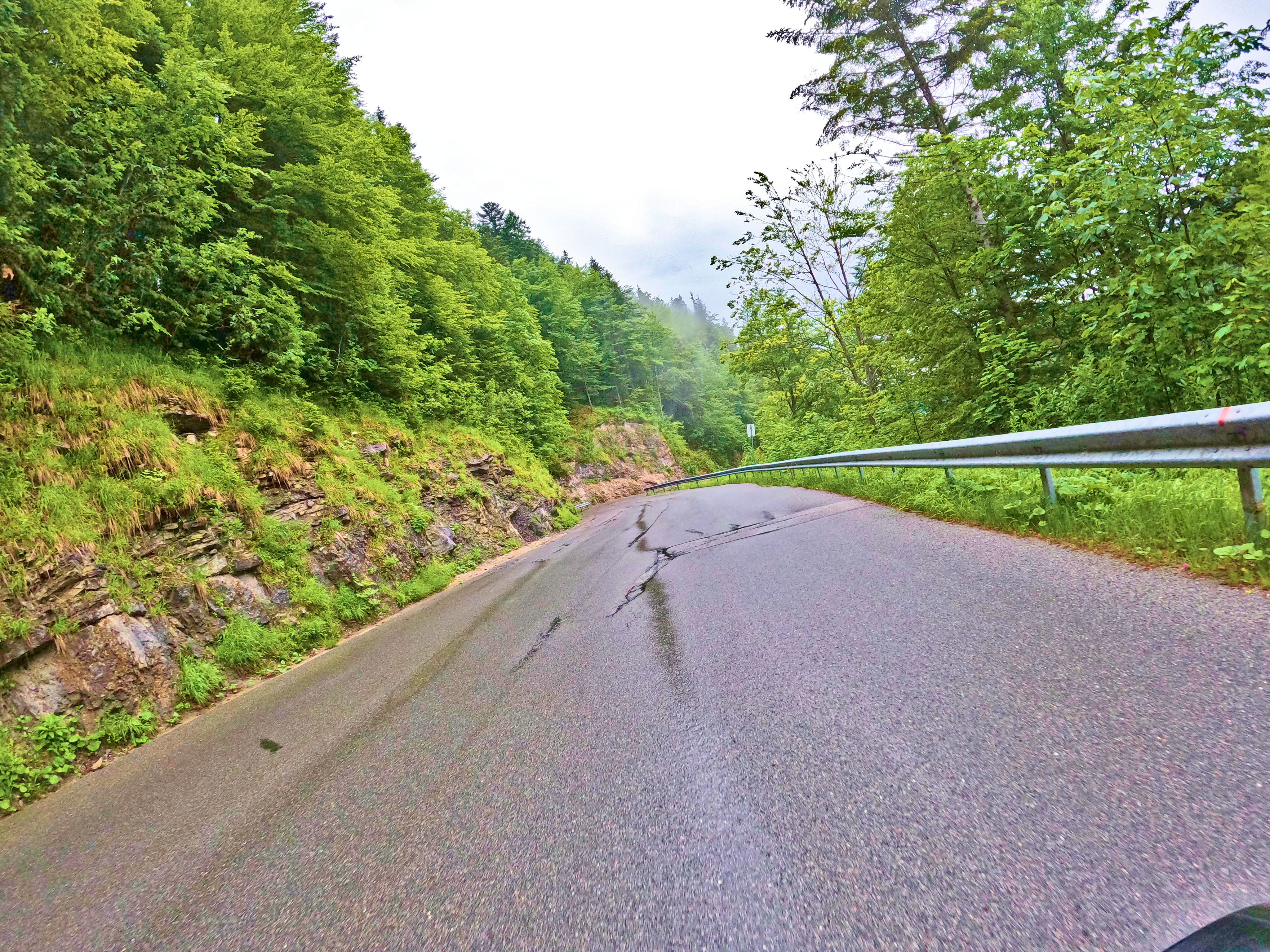 Auch bei feuchtem Wetter …