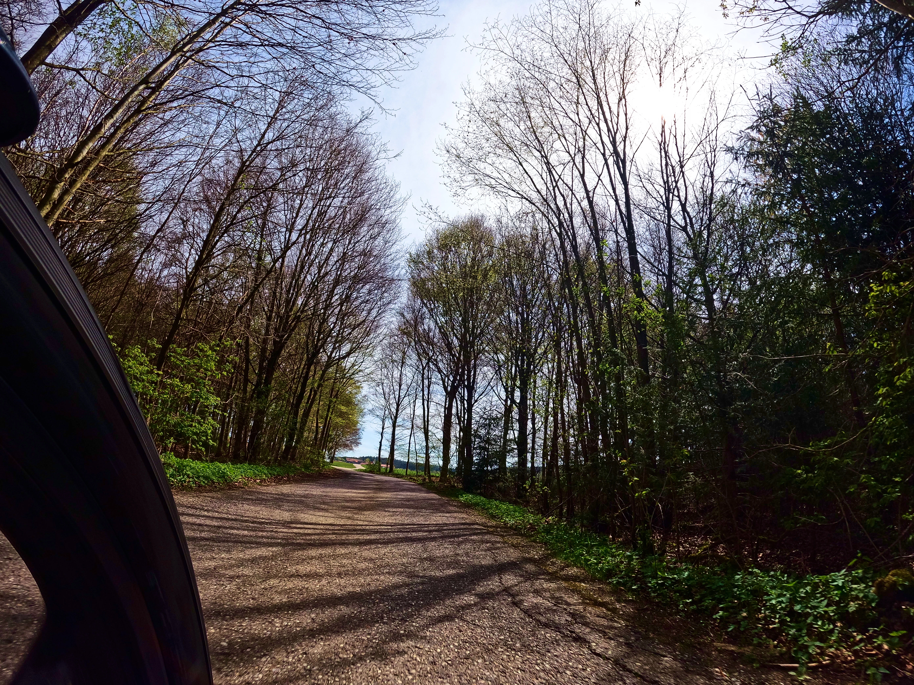 … durch den Wald …