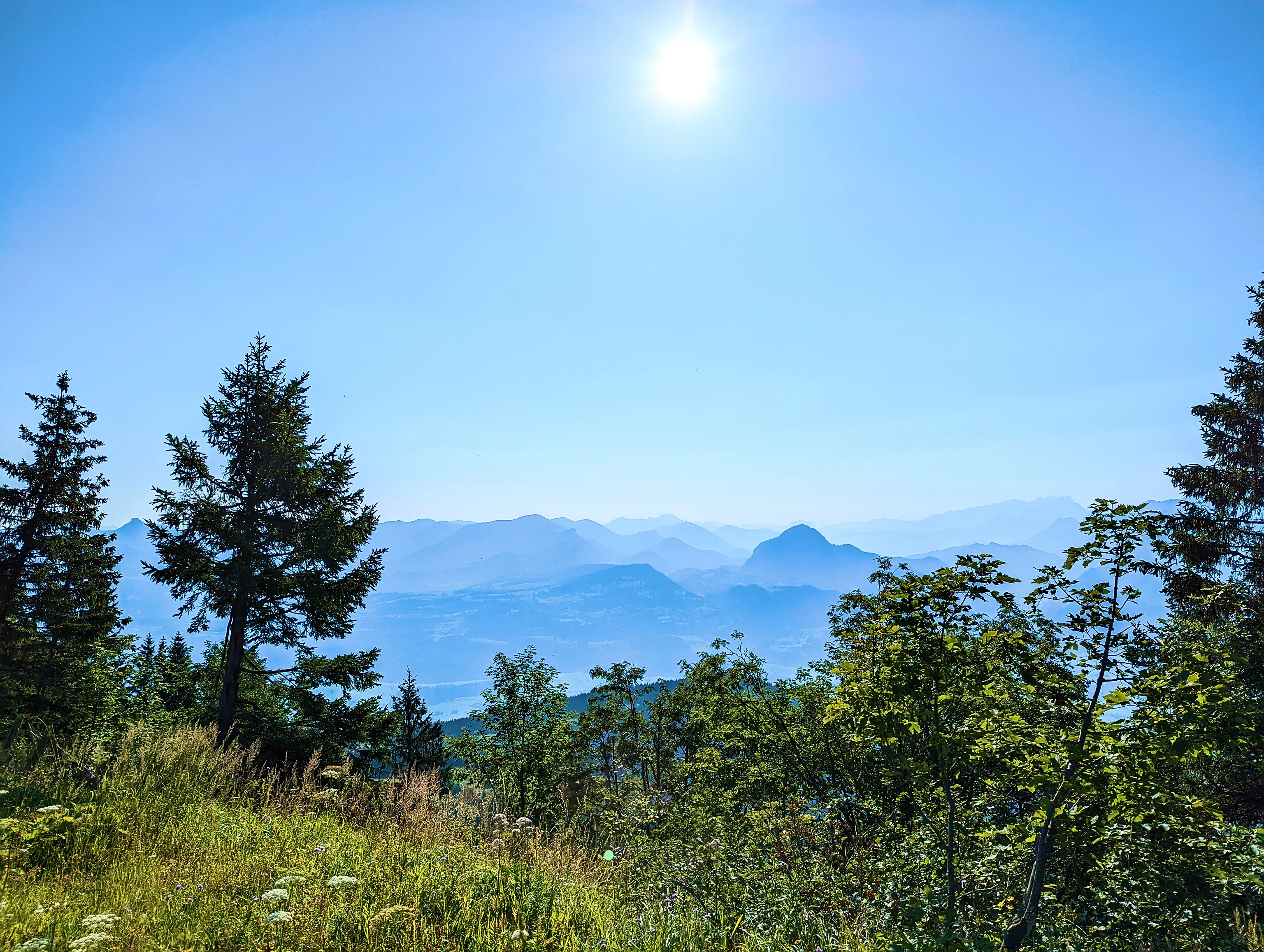 … Vogel genießt …