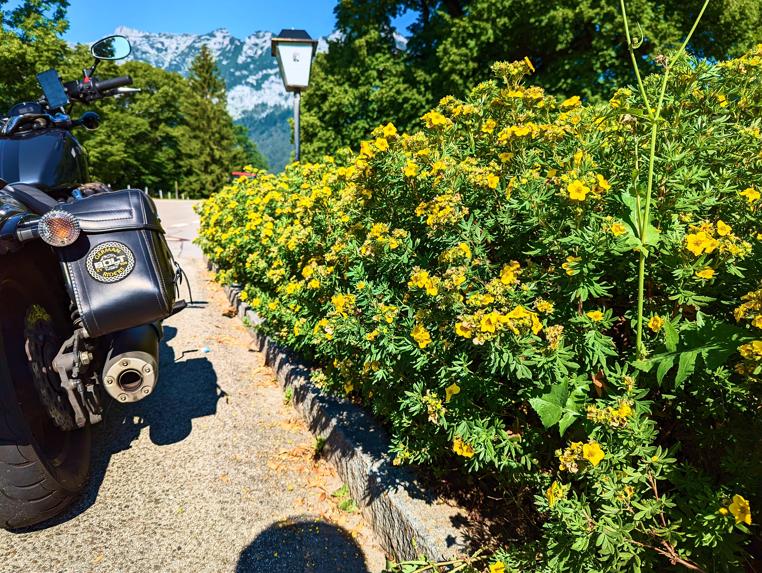 Bienchen und Blümchen