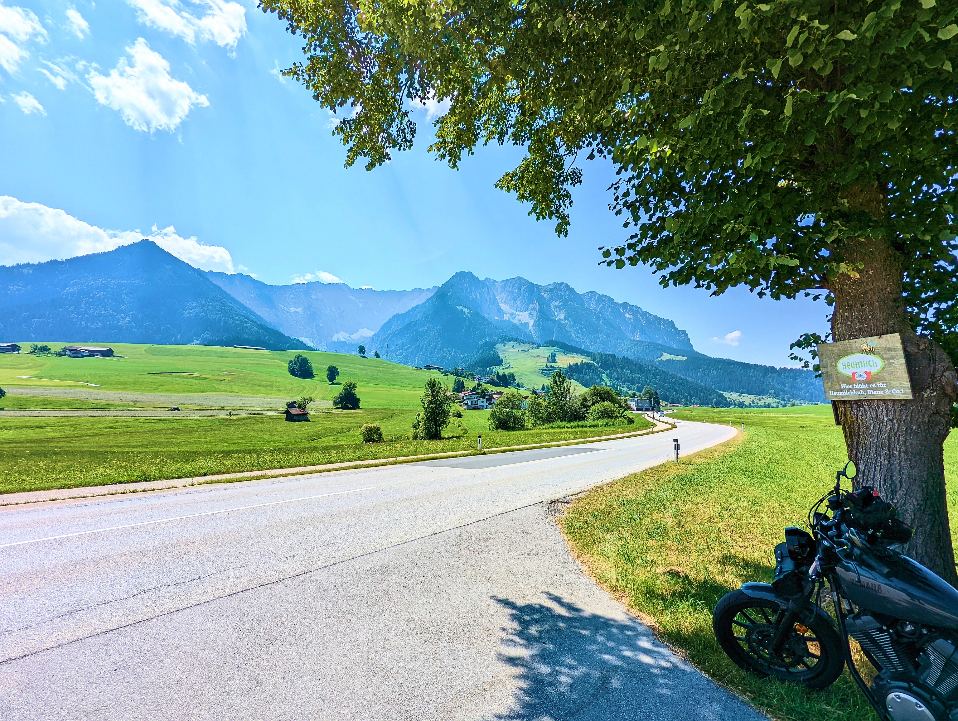 … schattenspendenden Baum.